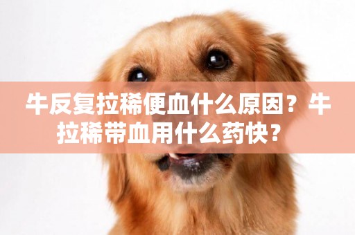 牛反復拉稀便血什么原因？牛拉稀帶血用什么藥快？ 