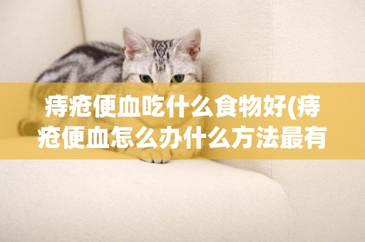 痔瘡便血吃什么食物好(痔瘡便血怎么辦什么方法最有效) 