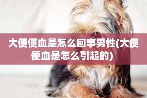 大便便血是怎么回事男性(大便便血是怎么引起的) 