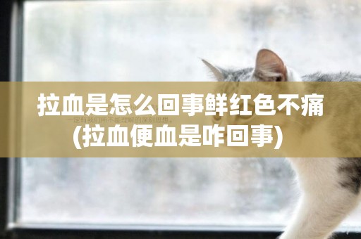 拉血是怎么回事鮮紅色不痛(拉血便血是咋回事) 