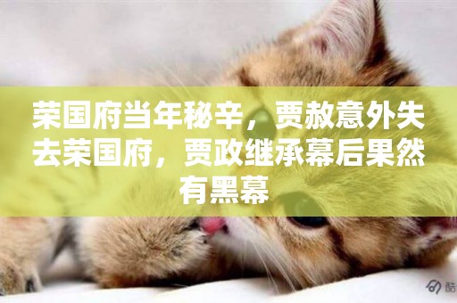 榮國府當年秘辛，賈赦意外失去榮國府，賈政繼承幕后果然有黑幕 