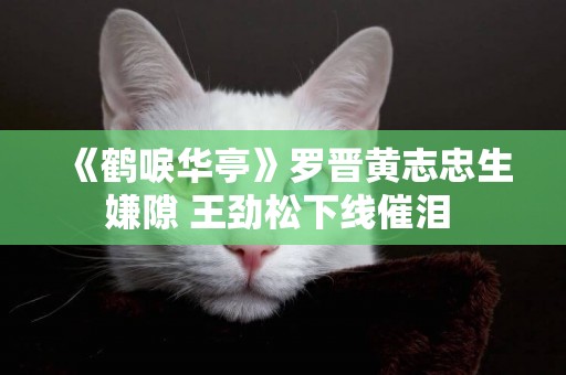 《鶴唳華亭》羅晉黃志忠生嫌隙 王勁松下線催淚 