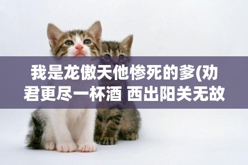 我是龍傲天他慘死的爹(勸君更盡一杯酒 西出陽關無故人) 