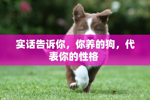 實話告訴你，你養的狗，代表你的性格 
