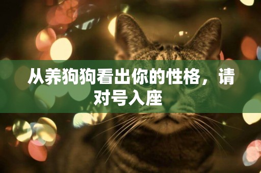 從養狗狗看出你的性格，請對號入座 
