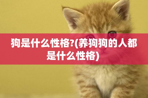 狗是什么性格?(養狗狗的人都是什么性格) 