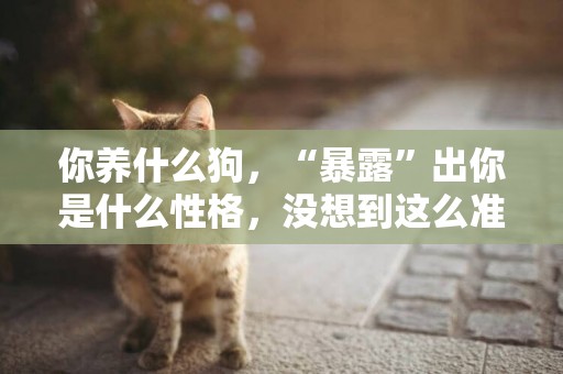 你養什么狗，“暴露”出你是什么性格，沒想到這么準 