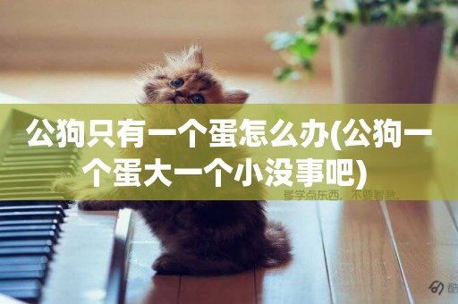 公狗只有一個蛋怎么辦(公狗一個蛋大一個小沒事吧) 