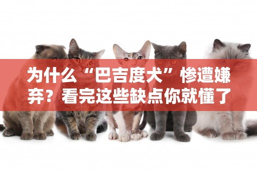 為什么“巴吉度犬”慘遭嫌棄？看完這些缺點你就懂了 