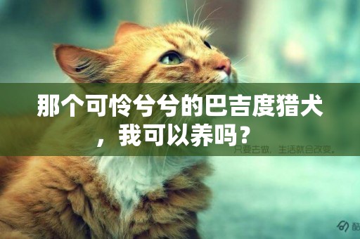 那個可憐兮兮的巴吉度獵犬，我可以養嗎？ 