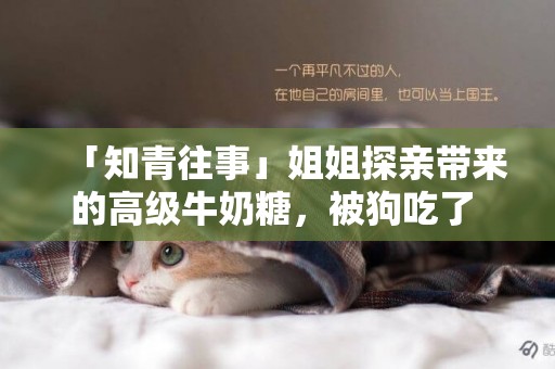 「知青往事」姐姐探親帶來的高級牛奶糖，被狗吃了 