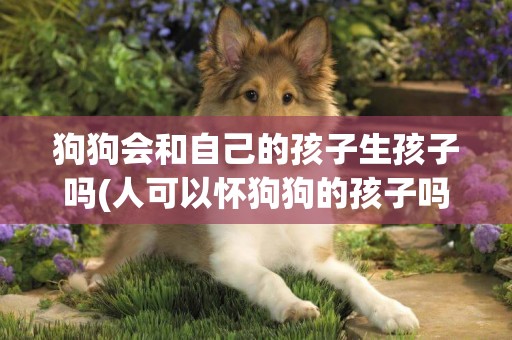 狗狗會和自己的孩子生孩子嗎(人可以懷狗狗的孩子嗎) 