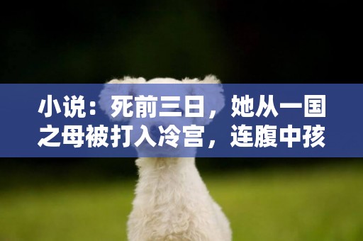 小說：死前三日，她從一國之母被打入冷宮，連腹中孩子都被狗吃了 