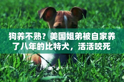 狗養不熟？美國姐弟被自家養了八年的比特犬，活活咬死 