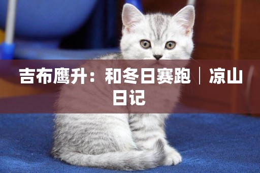 吉布鷹升：和冬日賽跑│涼山日記 