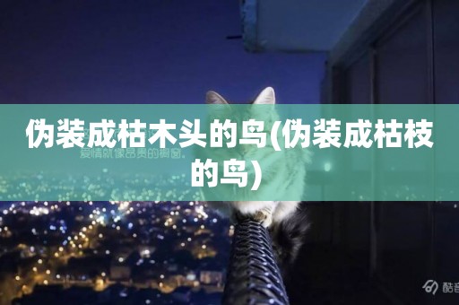 偽裝成枯木頭的鳥(偽裝成枯枝的鳥) 