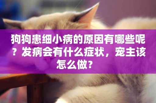 狗狗患細小病的原因有哪些呢？發病會有什么癥狀，寵主該怎么做？ 