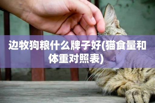 邊牧狗糧什么牌子好(貓食量和體重對照表) 