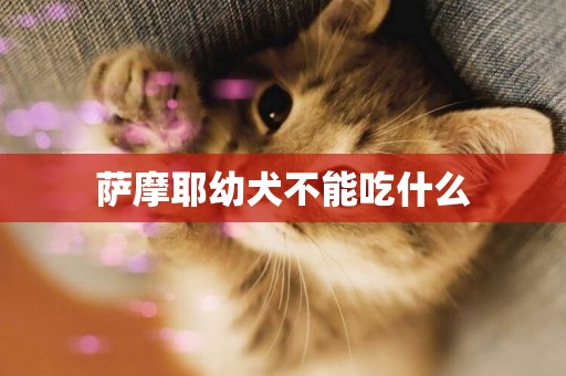 薩摩耶幼犬不能吃什么