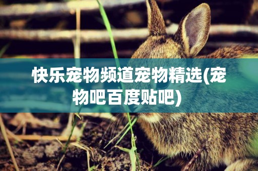 快樂寵物頻道寵物精選(寵物吧百度貼吧) 