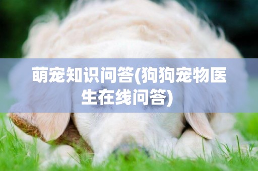 萌寵知識問答(狗狗寵物醫生在線問答) 
