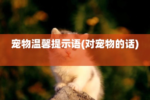 寵物溫馨提示語(對寵物的話) 