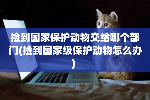撿到國家保護動物交給哪個部門(撿到國家級保護動物怎么辦) 