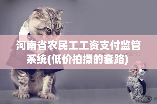 河南省農民工工資支付監管系統(低價拍攝的套路) 