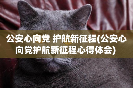 公安心向黨 護航新征程(公安心向黨護航新征程心得體會) 