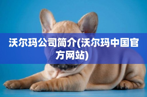 沃爾瑪公司簡介(沃爾瑪中國官方網站) 
