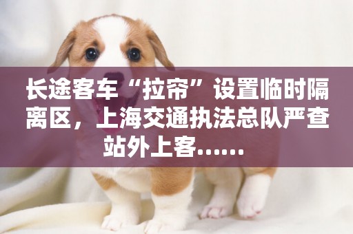 長途客車“拉簾”設置臨時隔離區，上海交通執法總隊嚴查站外上客…… 