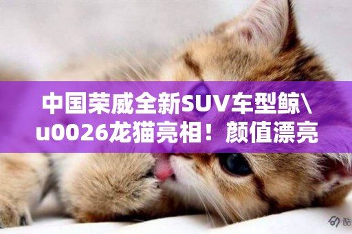 中國榮威全新SUV車型鯨\u0026龍貓亮相！顏值漂亮，起售價僅12.58萬 