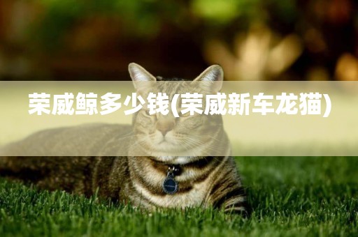 榮威鯨多少錢(榮威新車龍貓) 