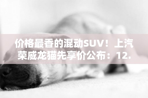 價格最香的混動SUV！上汽榮威龍貓先享價公布：12.58萬起 