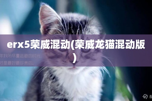 erx5榮威混動(榮威龍貓混動版) 