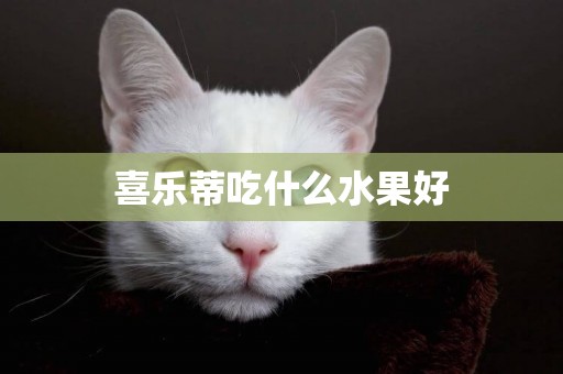 喜樂蒂吃什么水果好