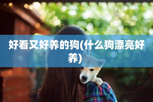 好看又好養的狗(什么狗漂亮好養) 
