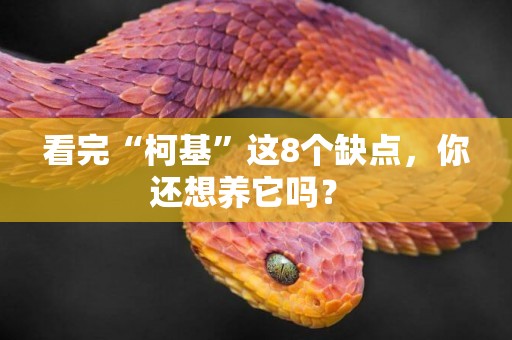 看完“柯基”這8個缺點，你還想養它嗎？ 