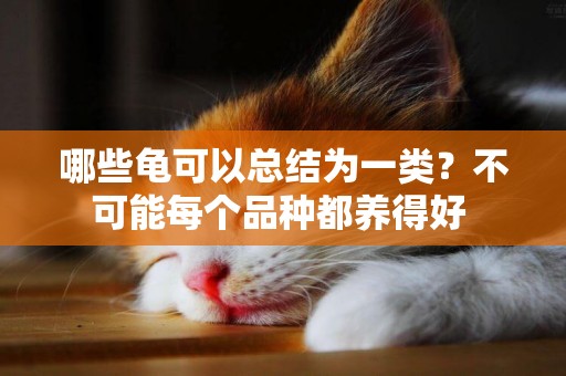 哪些龜可以總結為一類？不可能每個品種都養得好 