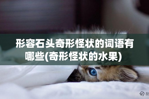 形容石頭奇形怪狀的詞語有哪些(奇形怪狀的水果) 