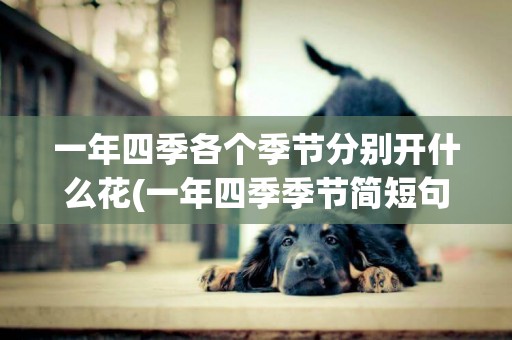 一年四季各個季節分別開什么花(一年四季季節簡短句子) 