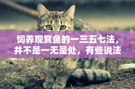 飼養觀賞魚的一三五七法，并不是一無是處，有些說法也很正確 