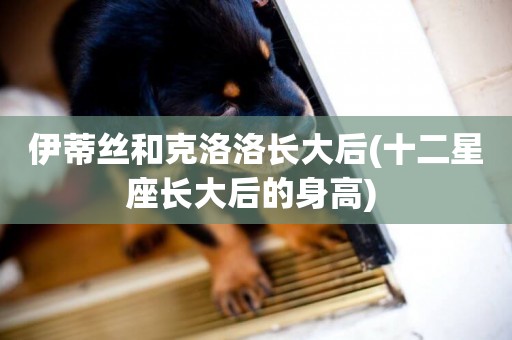 伊蒂絲和克洛洛長大后(十二星座長大后的身高) 