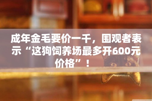 成年金毛要價一千，圍觀者表示“這狗飼養場最多開600元價格”！ 