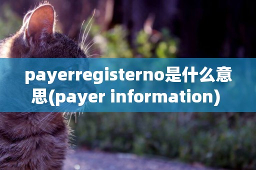 payerregisterno是什么意思(payer information) 