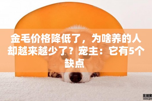 金毛價格降低了，為啥養的人卻越來越少了？寵主：它有5個缺點 