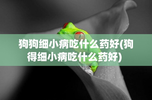 狗狗細小病吃什么藥好(狗得細小病吃什么藥好) 