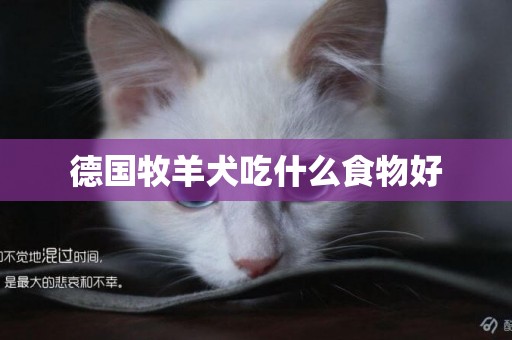 德國牧羊犬吃什么食物好