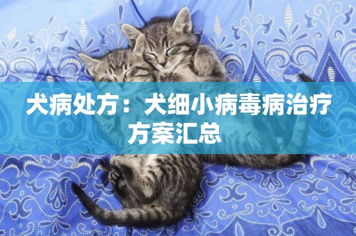 犬病處方：犬細小病毒病治療方案匯總 
