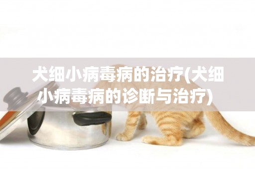 犬細小病毒病的治療(犬細小病毒病的診斷與治療) 